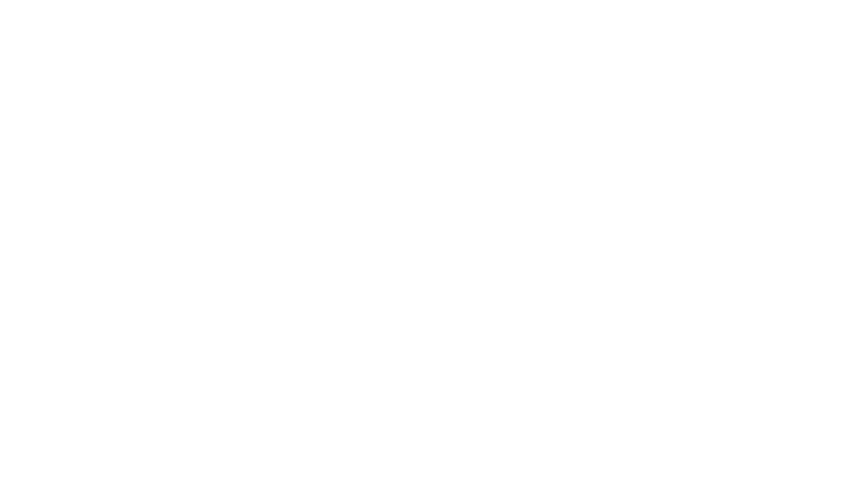 Logo Batterie Ingenieure